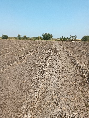 ખેતીની જમીન