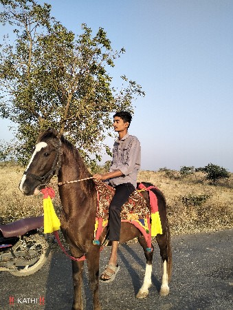 ઘોડો વેસવાનો છે