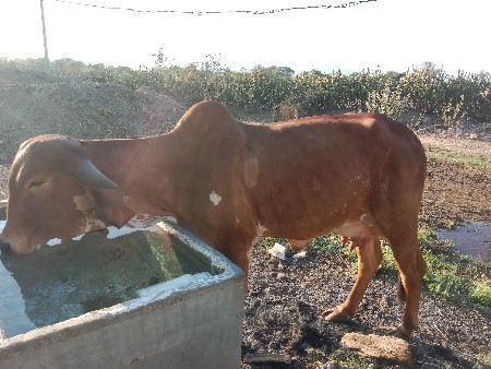 थंबनेल 3