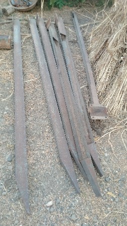 સિપ્યા દાતા