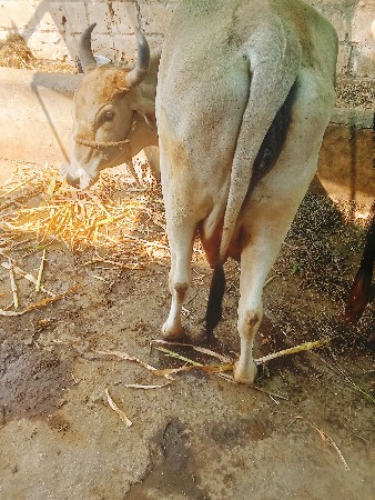 थंबनेल 2