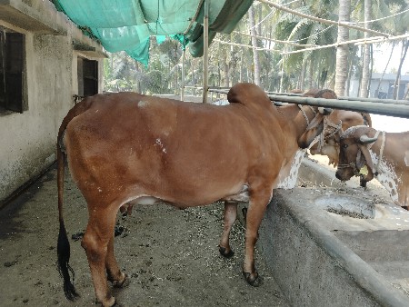 थंबनेल 2