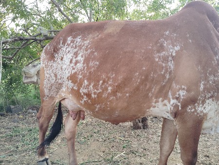 थंबनेल 2