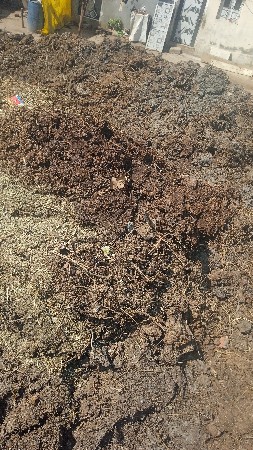 દેશિ છાણીયુ ખાતર