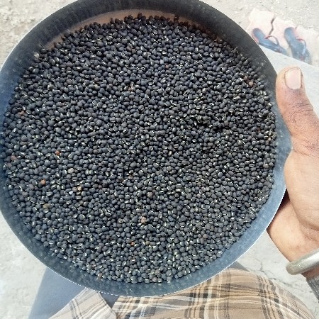 અડદ વેચવાના છે