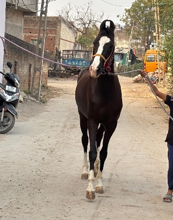 थंबनेल 3