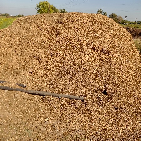 માંડવી નો ભુકો