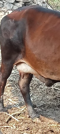 थंबनेल 3