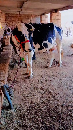 थंबनेल 2