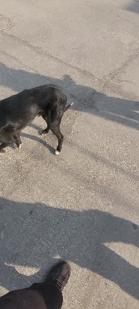 થંબનેલ 3