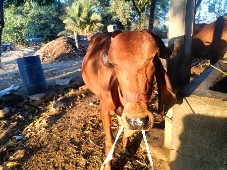 थंबनेल 2