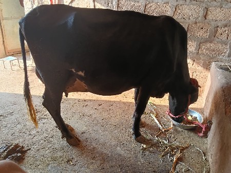 थंबनेल 3