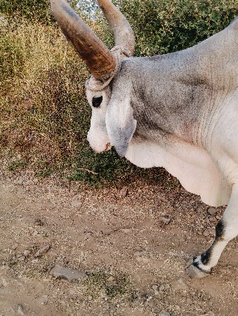 थंबनेल 2