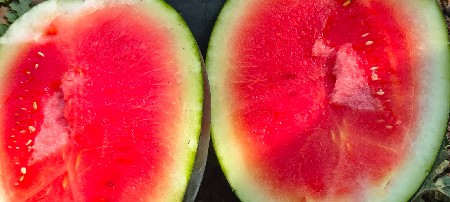 તરબૂચ 🍉🍉