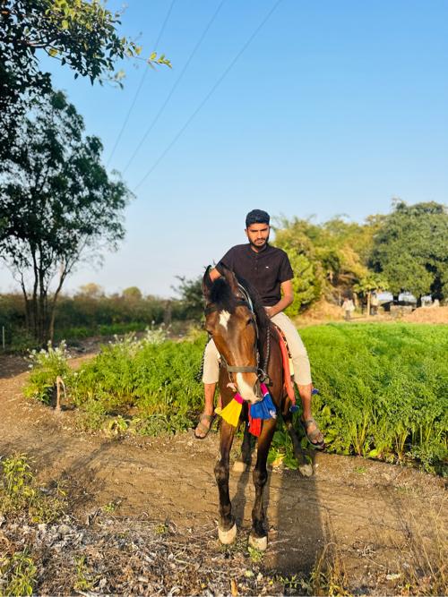 थंबनेल 3