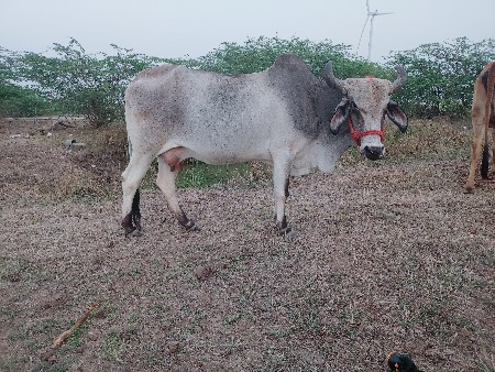 थंबनेल 2