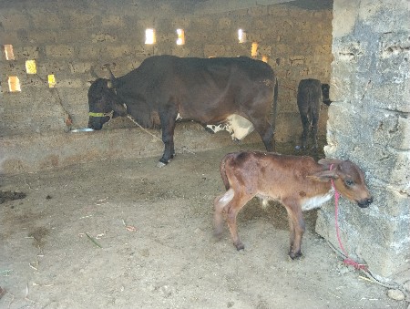 थंबनेल 2