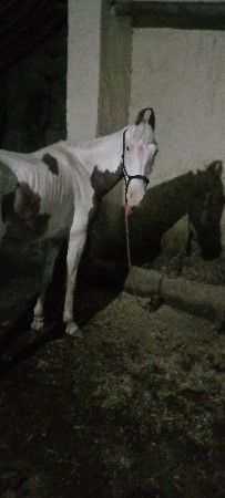 थंबनेल 3