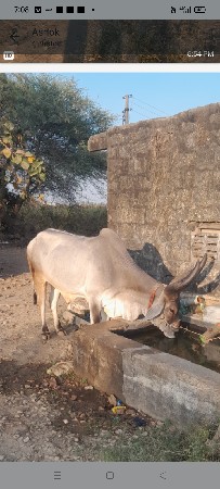 थंबनेल 2