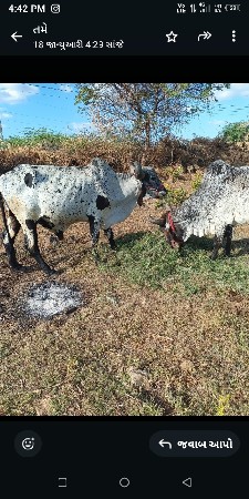 थंबनेल 2