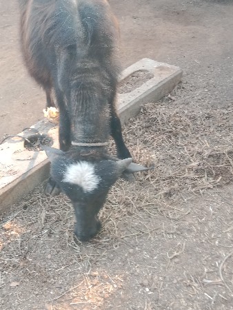 थंबनेल 3