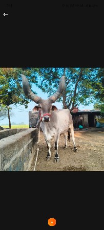 थंबनेल 2