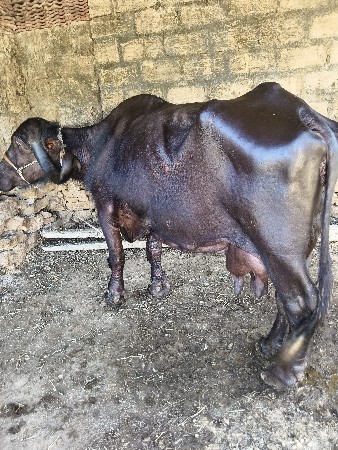 દેવભૂમિ દ્વારકા જિલ્લો તાલુકો કલ્ય