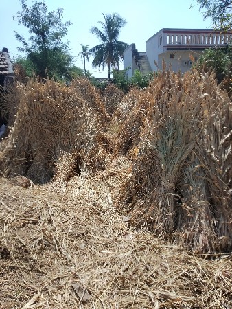 juvar ni char vesavani che