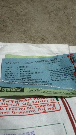 અળદ પેશવાના છે