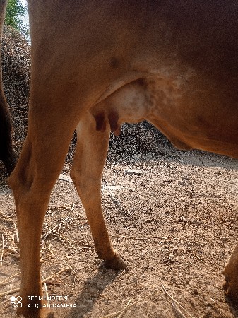 थंबनेल 2