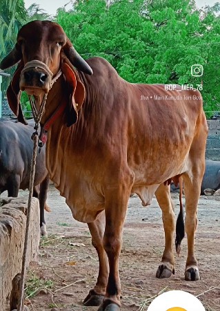 थंबनेल 2