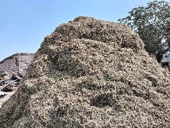 મગફળીનો પાલો