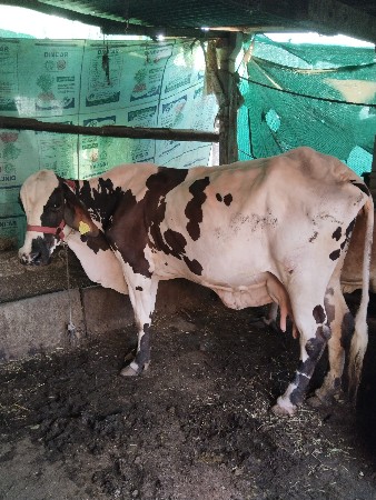 थंबनेल 2