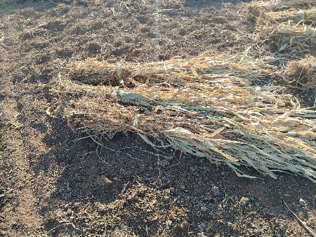 નીણ વેચવા ની છે