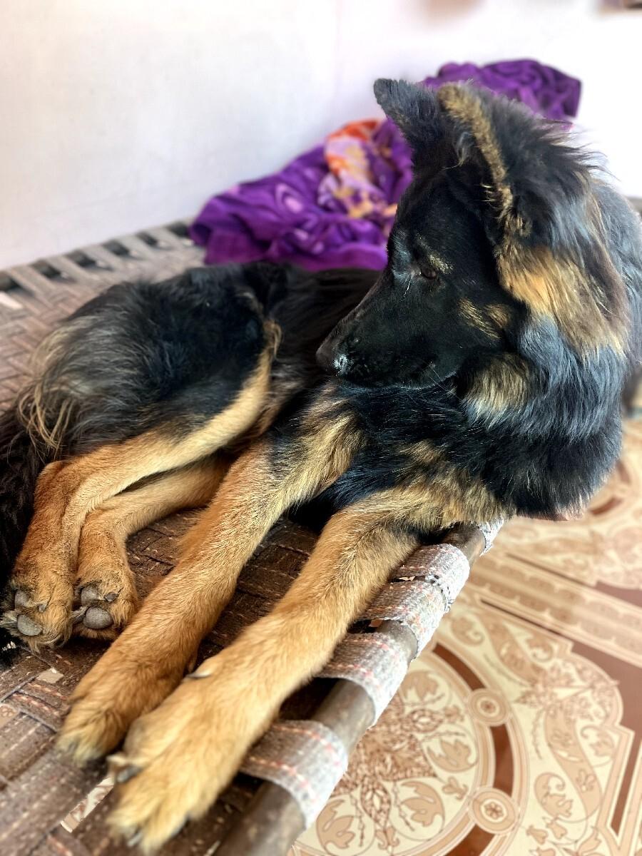 थंबनेल 3