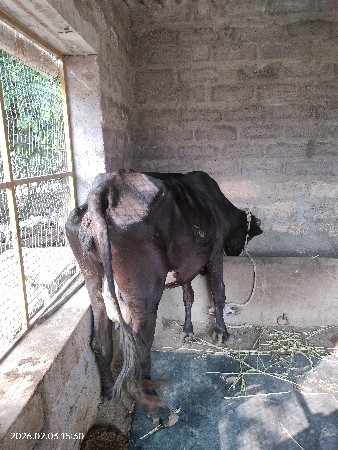 थंबनेल 3