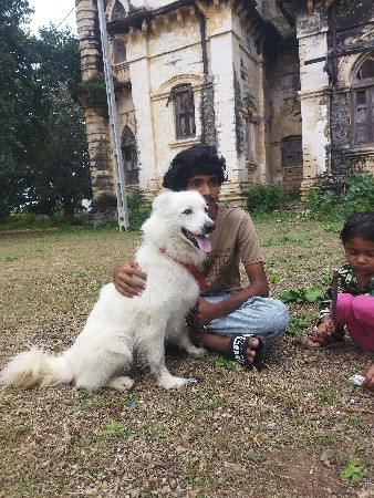 pomerian mel vechavano chhe