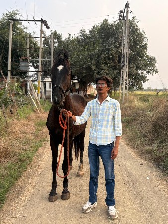 थंबनेल 2