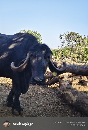 थंबनेल 3