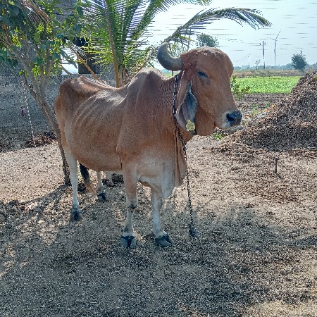 थंबनेल 2