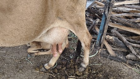 थंबनेल 3