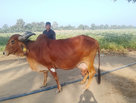 થંબનેલ 3