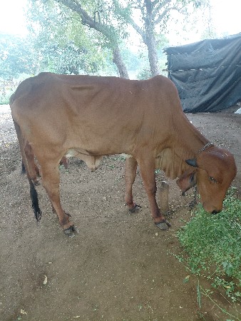 थंबनेल 3