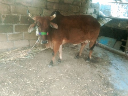 थंबनेल 3