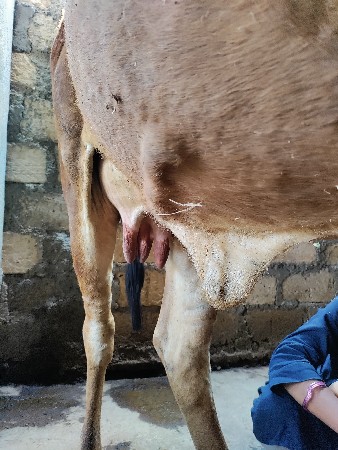 थंबनेल 2