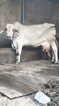 थंबनेल 3