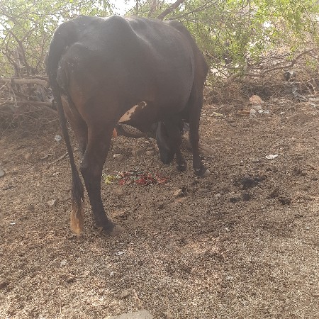 थंबनेल 3