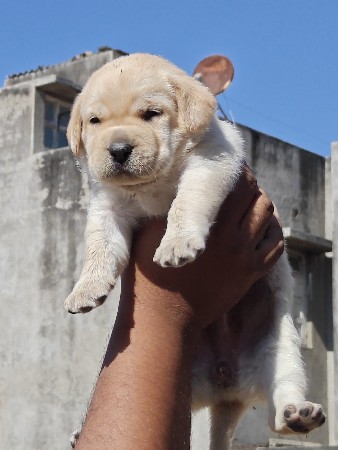 थंबनेल 2