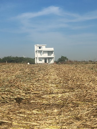 ચારો જુવાર નં નિન