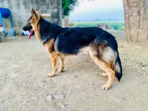 थंबनेल 3